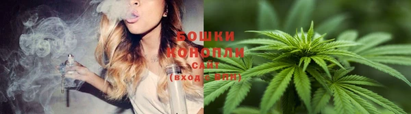 дурь Пестово