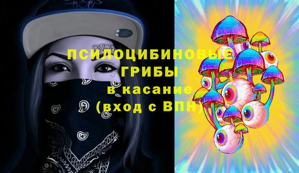 прущие грибы Переславль-Залесский